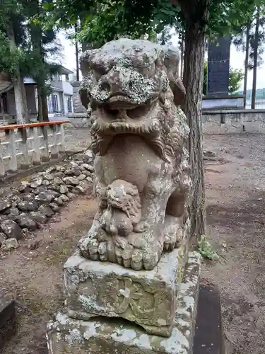 矢澤八幡宮の狛犬