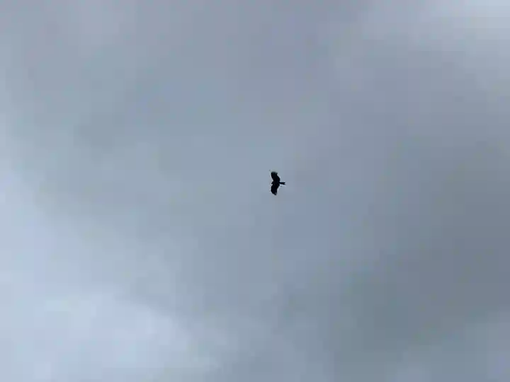 舞子六神社/まいこむの宮(兵庫県)