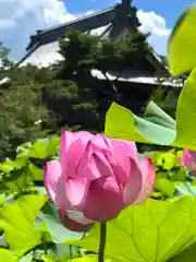 信濃國分寺(長野県)