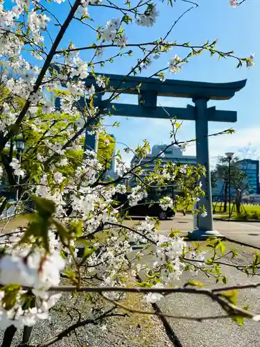 福井神社(福井県)