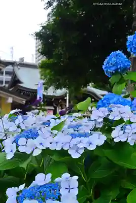 磐井神社(東京都)