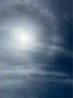 雀神社(茨城県)