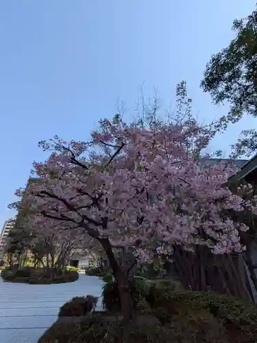 淀橋咳止地蔵尊(東京都)