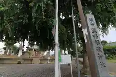 熊野福藏神社の景色