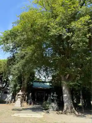 勝福寺(神奈川県)