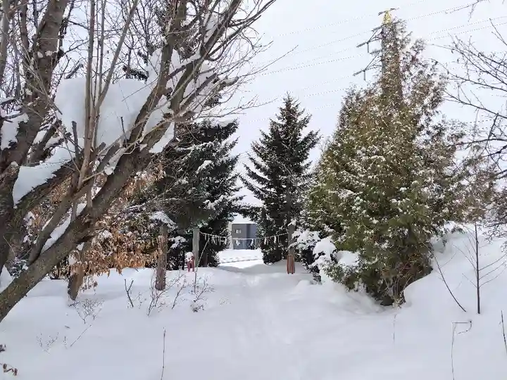 美瑛神社の自然