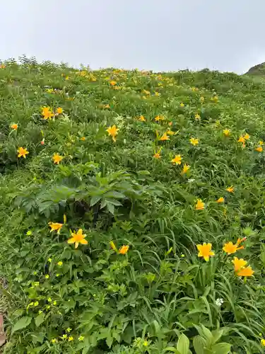 白山比咩神社　奥宮(石川県)