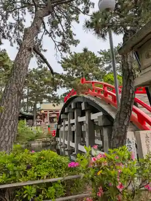 住吉大社(大阪府)