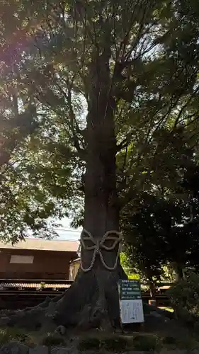 御嶽神社(神奈川県)