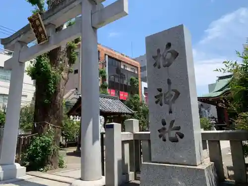 柏神社の鳥居