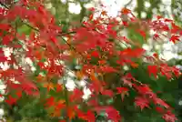 乃木神社(山口県)