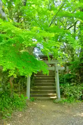 金毘羅社(東京都)
