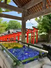 住吉神社の手水