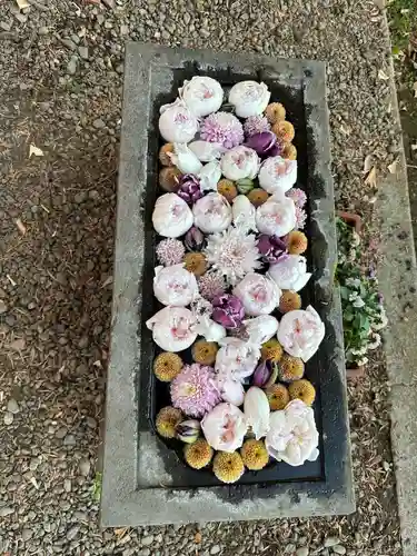 浅間神社の手水