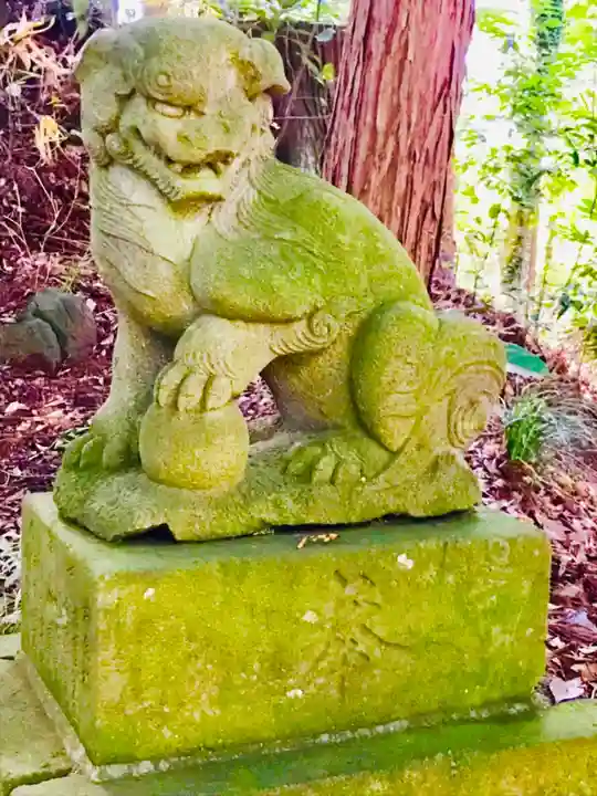 阿夫利神社の狛犬