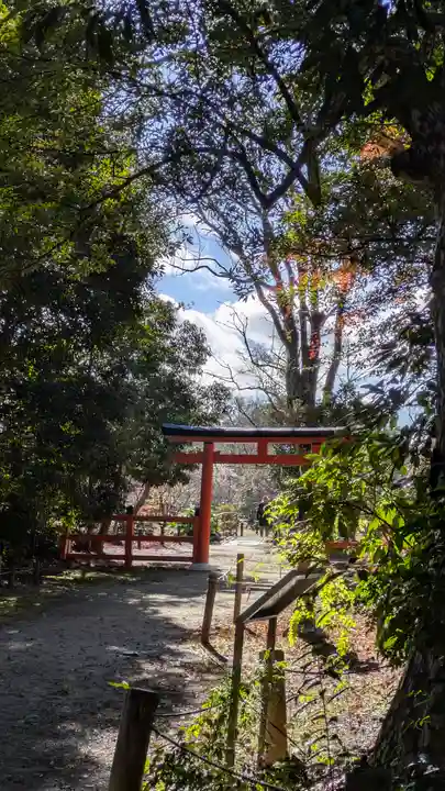 半木神社(賀茂別雷神社境外末社)(京都府)