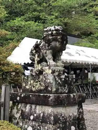 出雲大神宮の狛犬