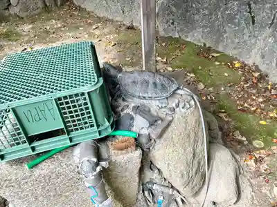 加茂神社(滋賀県)