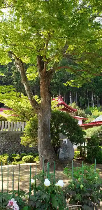 金蛇水神社の自然