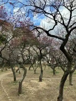 谷保天満宮の{uncategorized: "未分類", other: "その他", undefined: "問題あり", building: "その他建物", grave: "お墓", sacred_gate: "鳥居", guardian: "狛犬", statue: "像", buddha: "仏像", history: "歴史", nature: "自然", garden: "庭園", animal: "動物", pagoda: "塔", temizu: "手水舎", mountain_gate: "山門・神門", sanctuary: "本殿・本堂", subordinate: "末社・摂社", art: "芸術", scenery: "景色", jizo: "地蔵", ema: "絵馬", goshuin: "御朱印", omikuji: "おみくじ", items: "授与品その他", amulet: "お守り", goshuincho: "御朱印帳", eats: "食事", festival: "お祭り", votive_dance: "神楽", shichigosan: "七五三参", wedding: "結婚式", experience: "体験その他", initially: "初詣", around: "周辺", anti_infection: "感染症対策"}