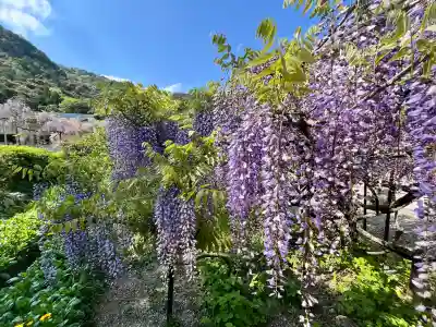 白毫寺熊野権現社(兵庫県)