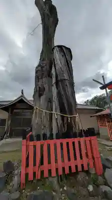 野神社(京都府)