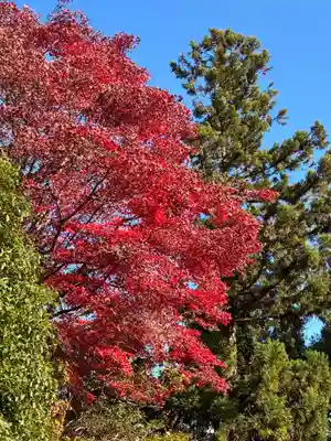鶴林寺(徳島県)