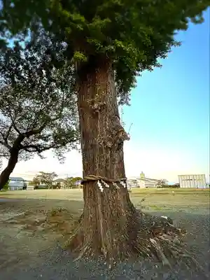 吉岡八幡神社(宮城県)