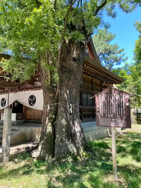 川中島古戦場八幡社(長野県)
