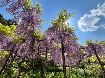 白毫寺熊野権現社(兵庫県)
