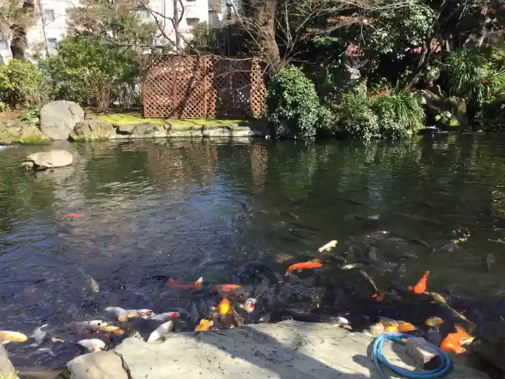 愛宕神社の庭園