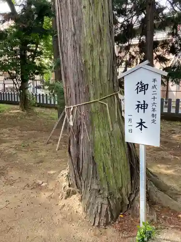 鹿島神社(茨城県)