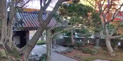 報国寺(神奈川県)