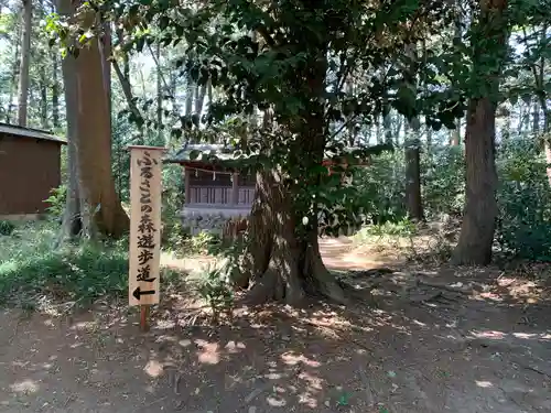 三ケ尻八幡神社(埼玉県)