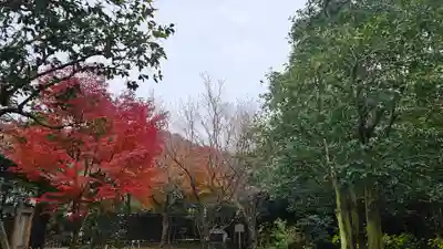 白毫寺(奈良県)