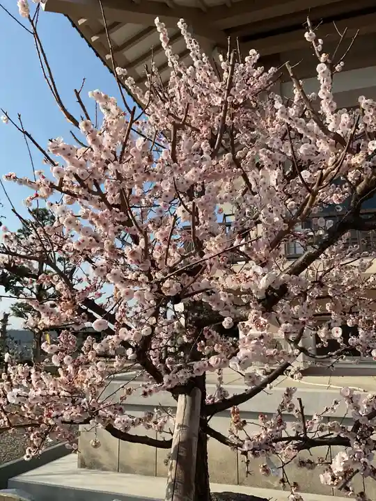 正眼寺(愛知県)