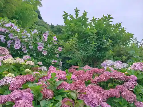 妙法寺（山崎）(神奈川県)