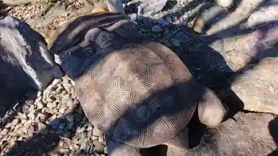 法雲寺のその他建物