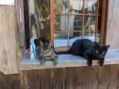 阿志都彌神社・行過天満宮の動物