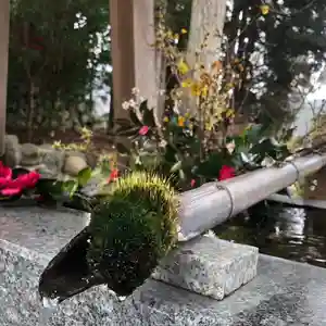 高司神社〜むすびの神の鎮まる社〜(福島県)(2024年03月22日(金) 16時54分19秒投稿)