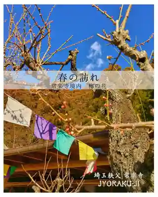 【公式】龍門院常楽寺（秩父札所十一番）(埼玉県)