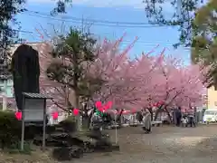 佐野原神社の建物その他