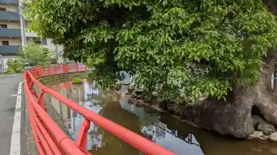 天津神社の庭園