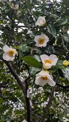 城南宮(京都府)