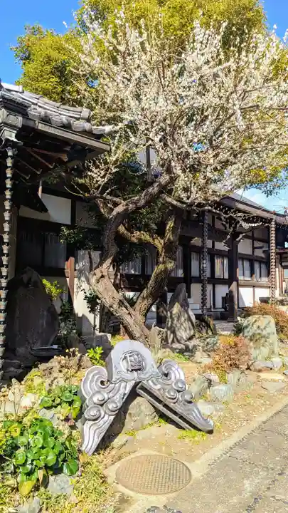 本寿寺(東京都)