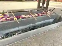 射水神社の{uncategorized: "未分類", other: "その他", undefined: "問題あり", building: "その他建物", grave: "お墓", sacred_gate: "鳥居", guardian: "狛犬", statue: "像", buddha: "仏像", history: "歴史", nature: "自然", garden: "庭園", animal: "動物", pagoda: "塔", temizu: "手水舎", mountain_gate: "山門・神門", sanctuary: "本殿・本堂", subordinate: "末社・摂社", art: "芸術", scenery: "景色", jizo: "地蔵", ema: "絵馬", goshuin: "御朱印", omikuji: "おみくじ", items: "授与品その他", amulet: "お守り", goshuincho: "御朱印帳", eats: "食事", festival: "お祭り", votive_dance: "神楽", shichigosan: "七五三参", wedding: "結婚式", experience: "体験その他", initially: "初詣", around: "周辺", anti_infection: "感染症対策"}