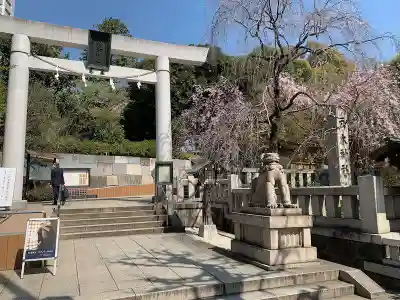 乃木神社の鳥居