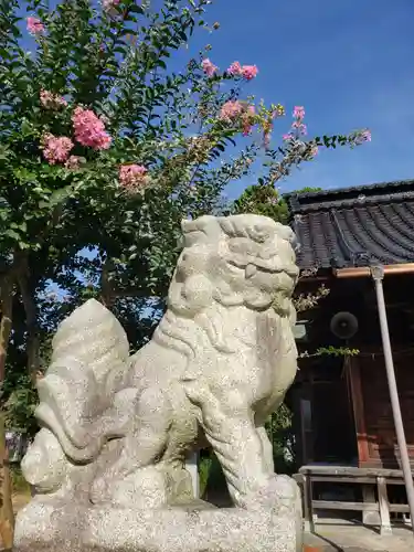 野村神社の狛犬