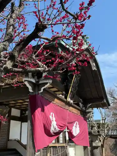 普門院の{uncategorized: "未分類", other: "その他", undefined: "問題あり", building: "その他建物", grave: "お墓", sacred_gate: "鳥居", guardian: "狛犬", statue: "像", buddha: "仏像", history: "歴史", nature: "自然", garden: "庭園", animal: "動物", pagoda: "塔", temizu: "手水舎", mountain_gate: "山門・神門", sanctuary: "本殿・本堂", subordinate: "末社・摂社", art: "芸術", scenery: "景色", jizo: "地蔵", ema: "絵馬", goshuin: "御朱印", omikuji: "おみくじ", items: "授与品その他", amulet: "お守り", goshuincho: "御朱印帳", eats: "食事", festival: "お祭り", votive_dance: "神楽", shichigosan: "七五三参", wedding: "結婚式", experience: "体験その他", initially: "初詣", around: "周辺", anti_infection: "感染症対策"}