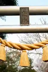 開拓神社の鳥居